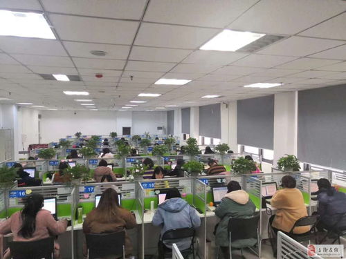 郑州声谷科技诚聘移动客服 常白班、无加班，开启您的信息技术咨询服务新篇章